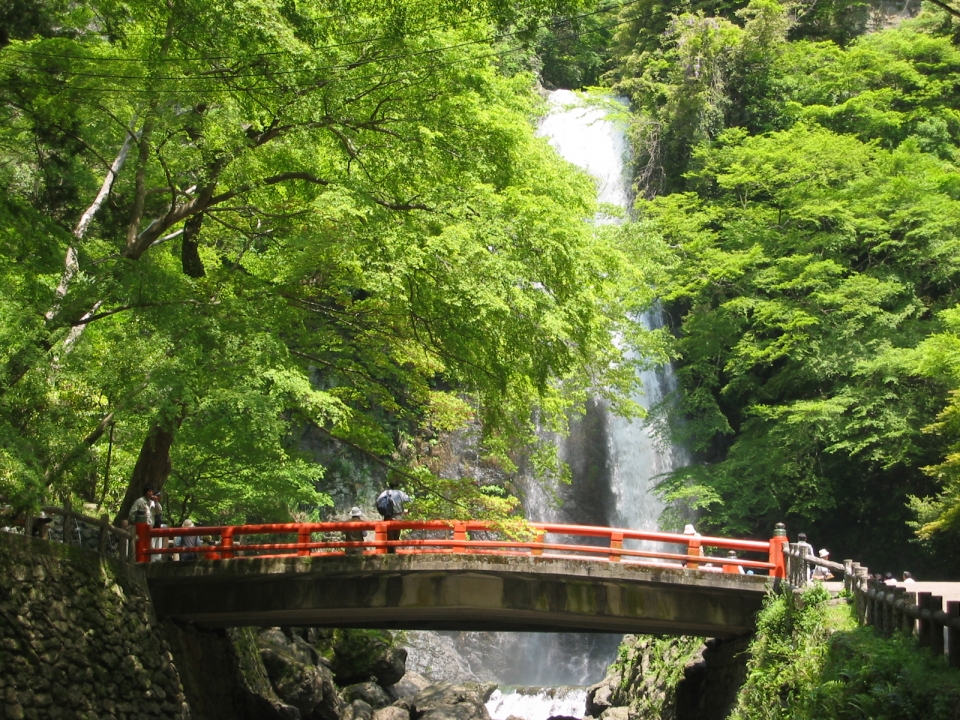 もみじの天ぷら箕面河鹿荘
